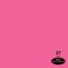 Ciclorama de Papel Tulip 37 Savage