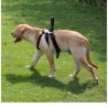 Adaptador Para Mascota Insta360